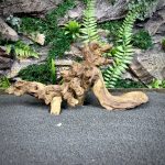 Коралловое дерево/Coral Wood
