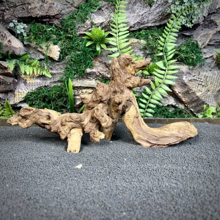 Коралловое дерево/Coral Wood