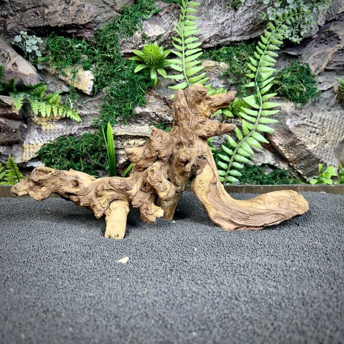 Коралловое дерево/Coral Wood