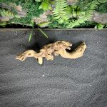 Коралловое дерево/Coral Wood КД684 — изображение 4