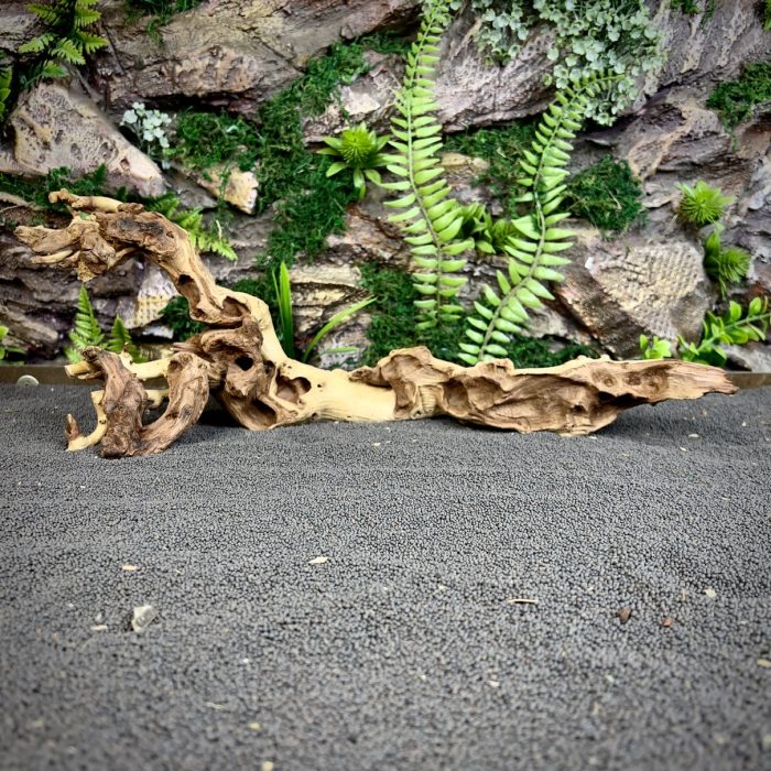 Коралловое дерево/Coral Wood