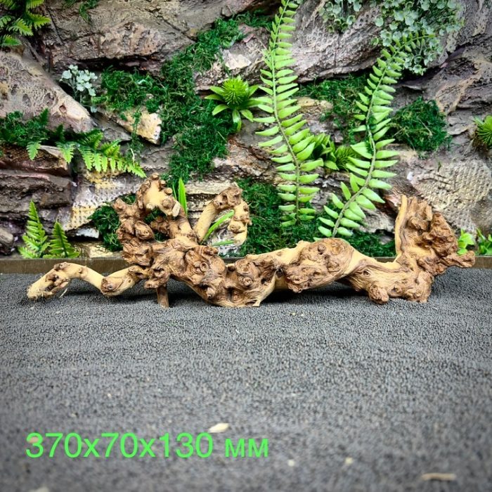 Коралловое дерево/Coral Wood КД686 — изображение 2