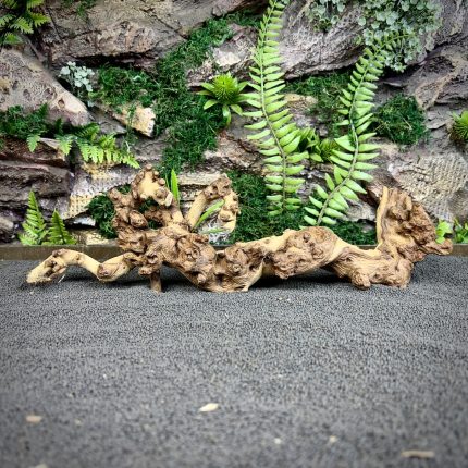 Коралловое дерево/Coral Wood