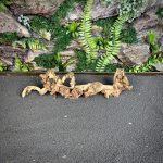 Коралловое дерево/Coral Wood КД686 — изображение 3
