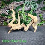 Коралловое дерево/Coral Wood КД689 — изображение 2
