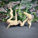 Коралловое дерево/Coral Wood