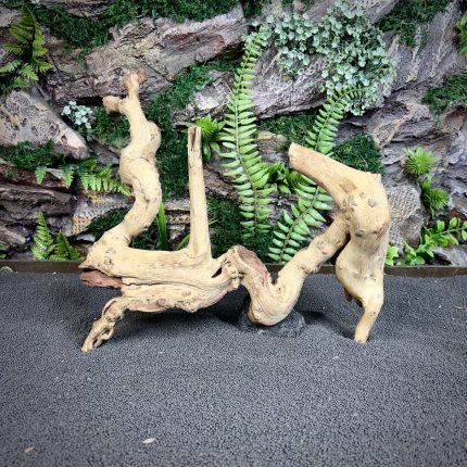 Коралловое дерево/Coral Wood