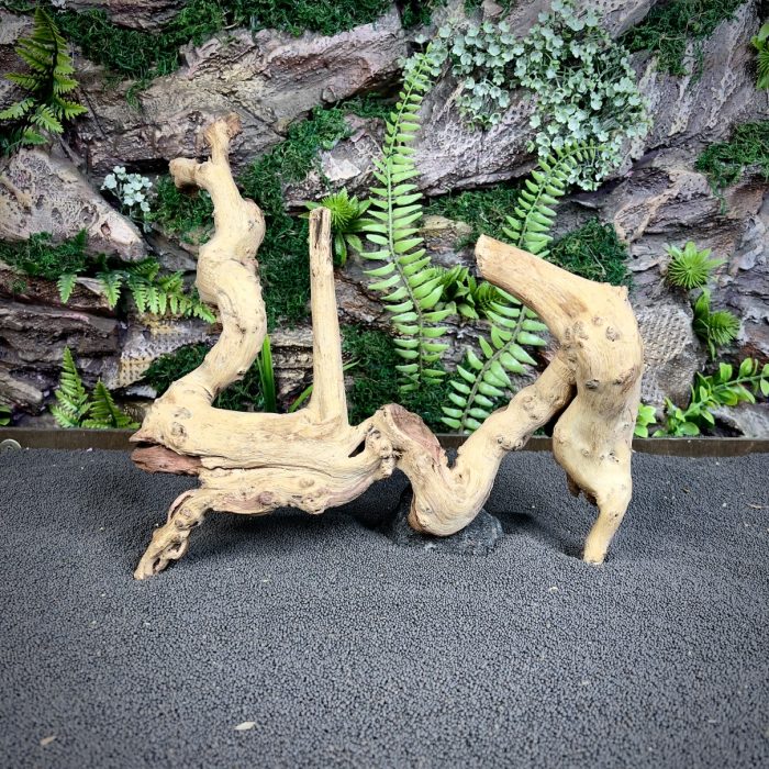 Коралловое дерево/Coral Wood