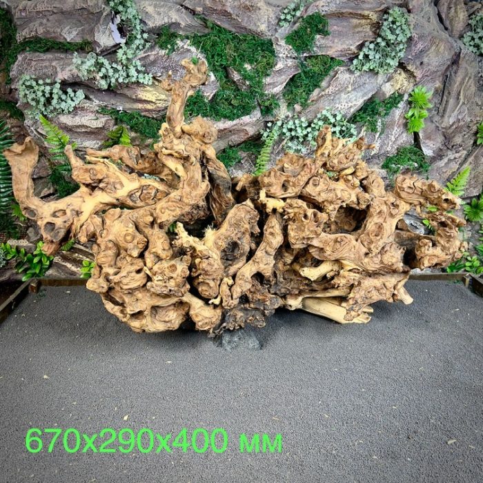 Коралловое дерево/Coral Wood КД692 — изображение 2