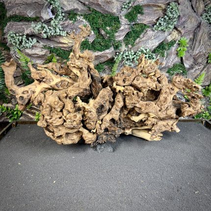 Коралловое дерево/Coral Wood