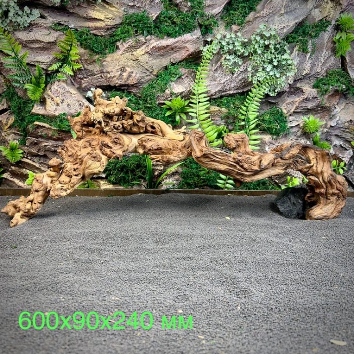 Коралловое дерево/Coral Wood КД693 — изображение 2