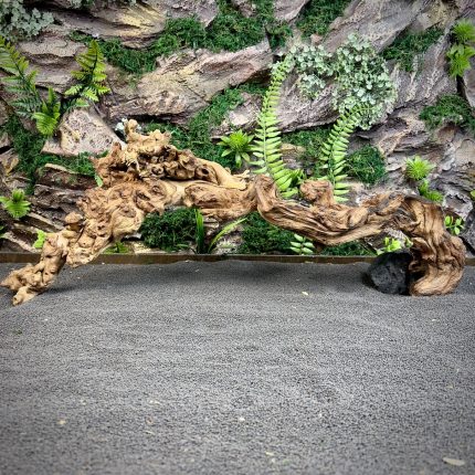 Коралловое дерево/Coral Wood