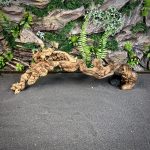 Коралловое дерево/Coral Wood КД693 — изображение 3