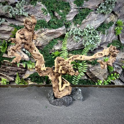 Коралловое дерево/Coral Wood