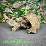 Коряга Слоистый корень МД700 — изображение 2