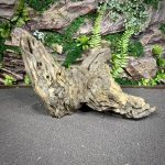 Коряга Слоистый корень МД701 — изображение 6