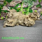 Коряга Слоистый корень МД703 — изображение 2