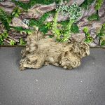 Коряга Слоистый корень МД703 — изображение 3