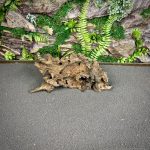 Коряга Слоистый корень МД704 — изображение 3
