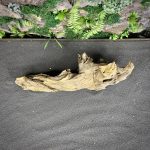 Коряга Слоистый корень МД706 — изображение 4