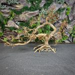 Коряга Бонсай БОН01 — изображение 2