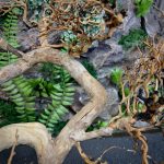 Коряга Бонсай БОН01 — изображение 7