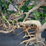 Коряга Бонсай БОН01 — изображение 8