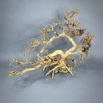 Коряга Бонсай