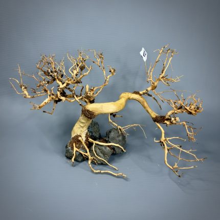 Коряга Бонсай