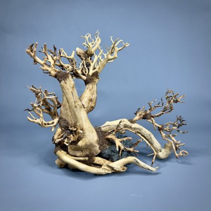 Коряга Бонсай