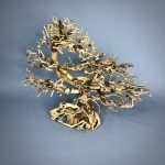 Коряга Бонсай