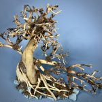 Коряга Бонсай БОН14 — изображение 5