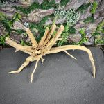 Паучий корень/Корень Азалии НК713 — изображение 3