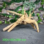 Паучий корень/Корень Азалии НК715 — изображение 2