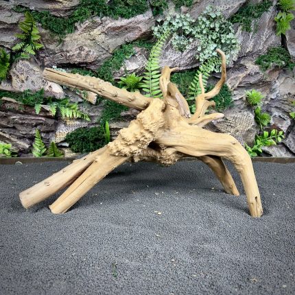 Паучий корень / Корень Азалии