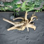 Паучий корень/Корень Азалии НК715 — изображение 4