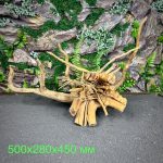 Паучий корень/Корень Азалии НК716 — изображение 2