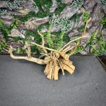 Паучий корень/Корень Азалии НК716 — изображение 3