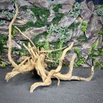 Паучий корень/Корень Азалии НК716 — изображение 6