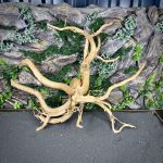 Паучий корень/Корень Азалии НК718 — изображение 3