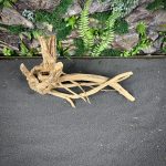 Паучий корень/Корень Азалии НК719 — изображение 3