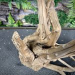 Паучий корень/Корень Азалии НК719 — изображение 4