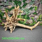 Паучий корень/Корень Азалии НК720 — изображение 2