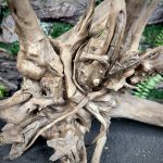 Паучий корень/Корень Азалии НК720 — изображение 5