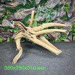 Паучий корень/Корень Азалии НК722 — изображение 2