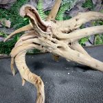 Паучий корень/Корень Азалии НК722 — изображение 5