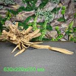 Паучий корень/Корень Азалии НК724 — изображение 2