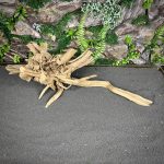 Паучий корень/Корень Азалии НК724 — изображение 3