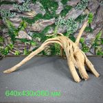 Паучий корень/Корень Азалии НК726 — изображение 2