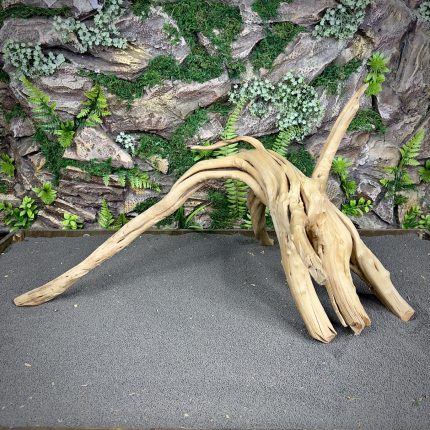 Паучий корень / Корень Азалии